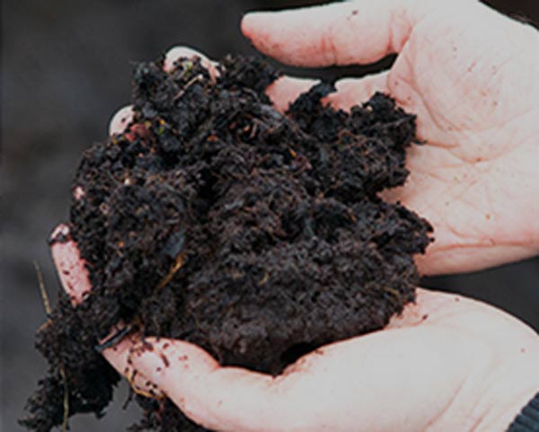 raw-moor-mud-cosmetic raw-moor-mud-cosmetic