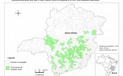 Propolis Verte : actif naturel innovant pour formulations clean label